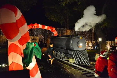 DSC_5784 (Large).JPG